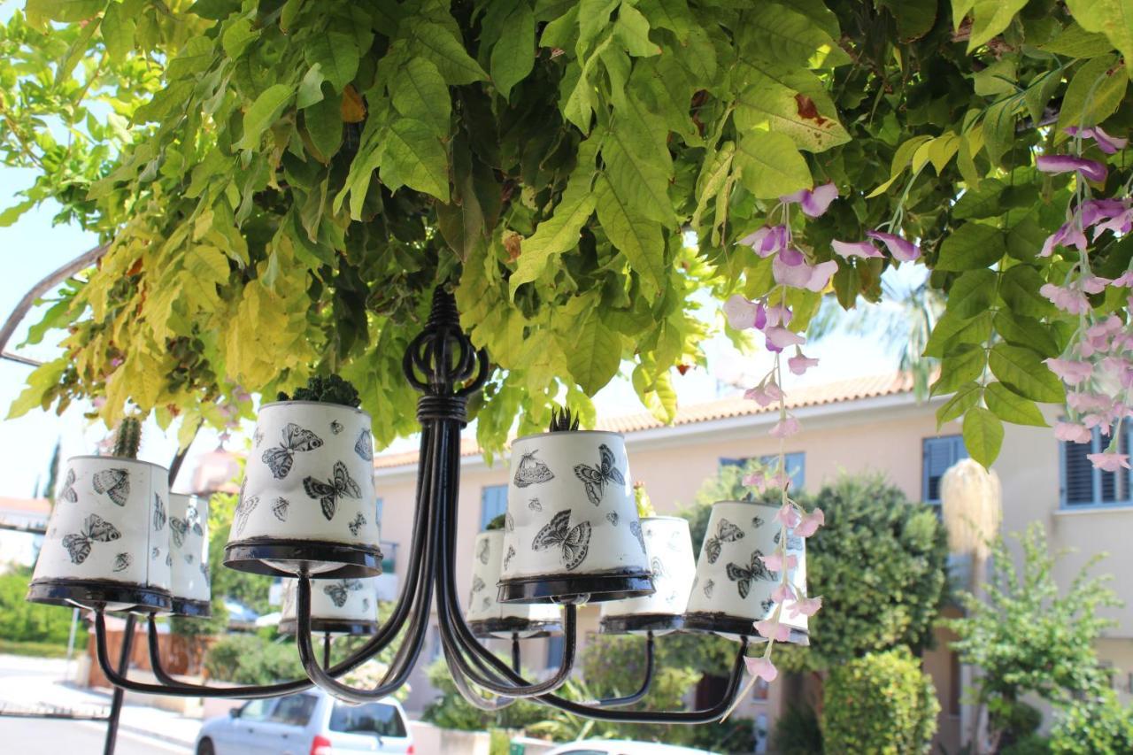Paphos Ivoton Home מראה חיצוני תמונה